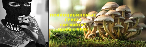 МДПВ Абинск