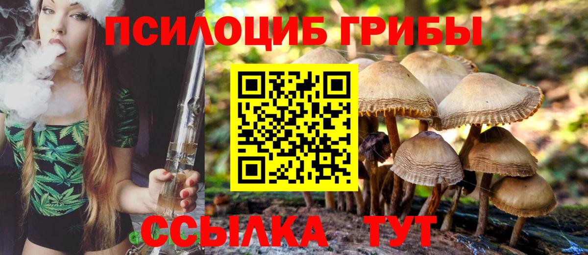 купить закладку  Псилоцибиновые грибы Magic Shrooms  Вход с VPN  Элиста 